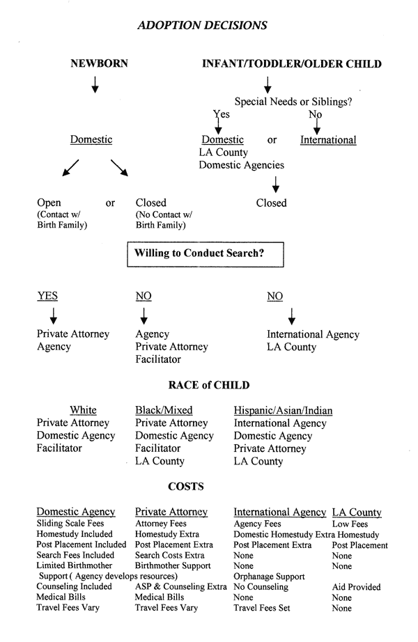 Adoption Decision Process 